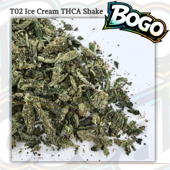 (Buy 1 Get 2) T02 Ice Cream Shake