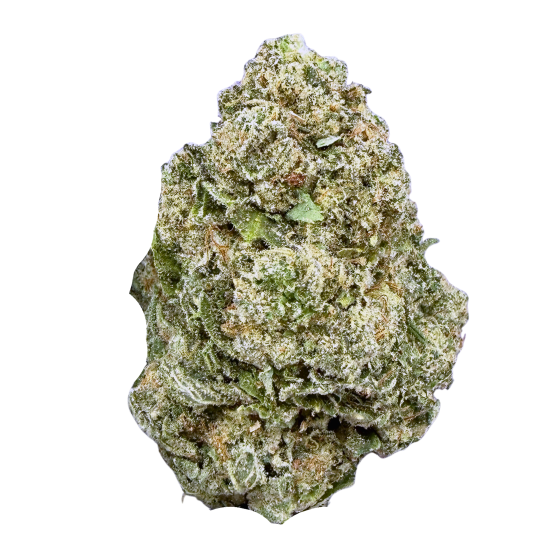Gelato - Hybrid ( wholesale )