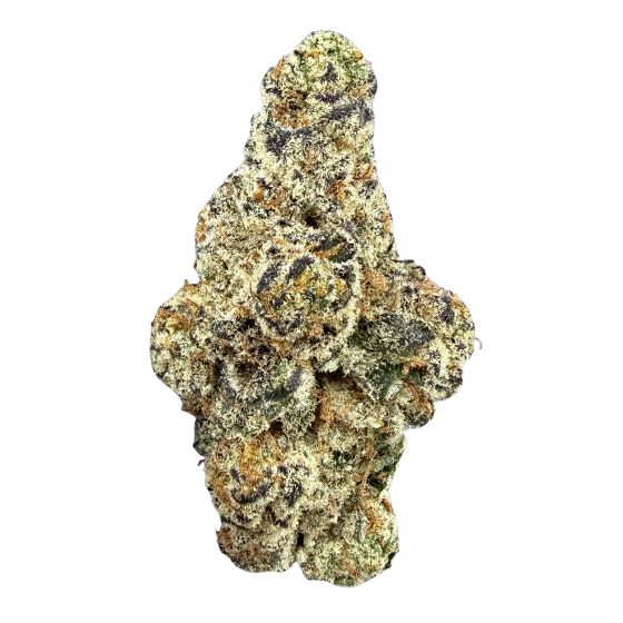 Garlicane - Indica Hybrid (Wholesale)