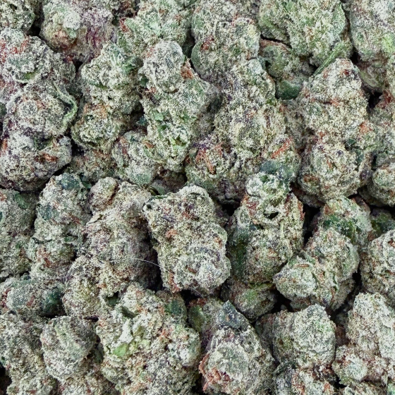 Blue Nerds Smalls- Indica Hybrid (Wholesale)