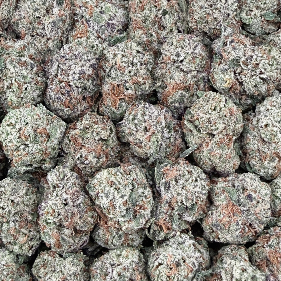 B-day Cake Smalls- Indica Hybrid (Wholesale)