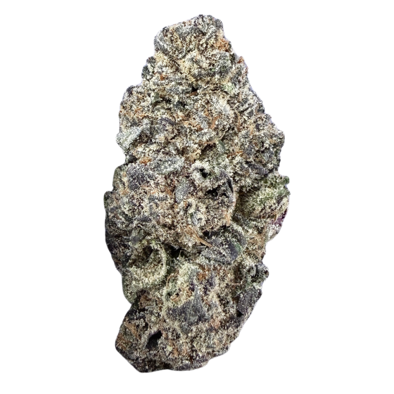 Berry White- Hybrid  ( Wholesale )