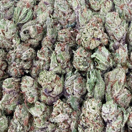 Biscotti Smalls- Indica Hybrid (Wholesale)