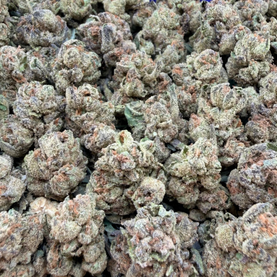 Super Runtz Smalls- Hybrid (wholesale)