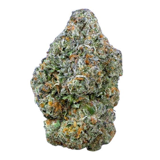 Gelato 41- Hybrid (Wholesale)