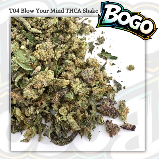 (Buy 1 Get 2) T04 Blow Your Mind Shake